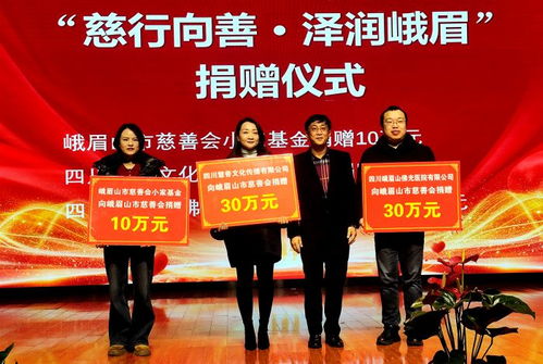 慈行向善 澤潤(rùn)峨眉——2025年度峨眉山市慈善工作與文化融合新篇章